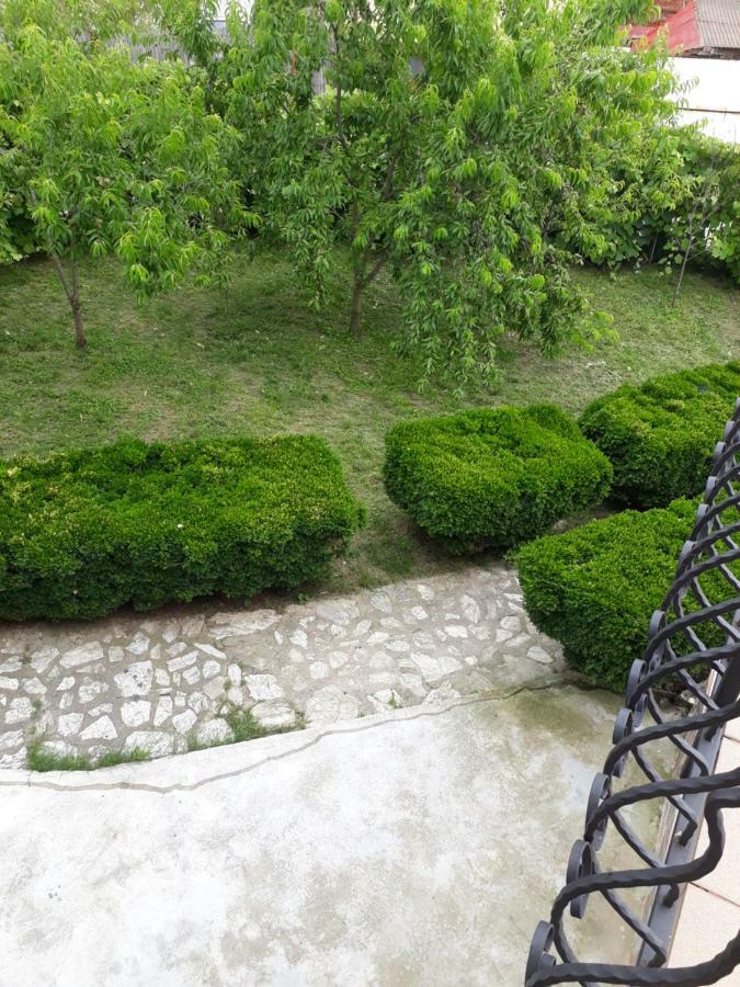 Ferienwohnung Casa Ade Călimăneşti Exterior foto